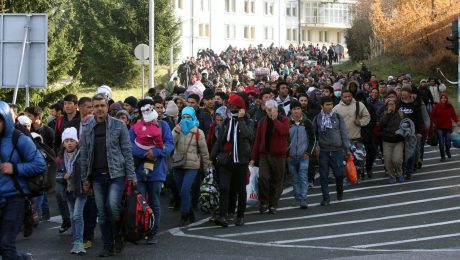 Nederlandse studie bewijst: niet-Westerse immigratie ondermijnt verzorgingsstaat