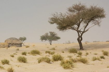 Klimaatprogramma in Sahel: “Kitir gooit met belastinggeld”