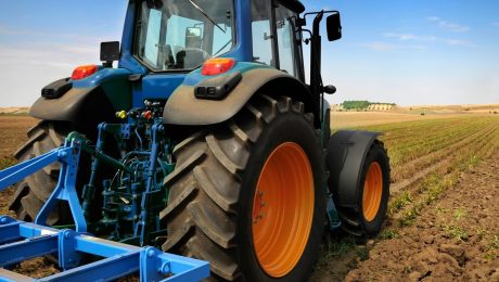Vlaams Belang stemt voor een toekomstbestendige landbouwsector