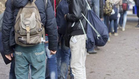 Nu al meer dan 20.000 asielaanvragen: “Trop is te veel”