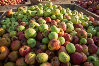 Vlaams Belang wil btw op groenten en fruit naar 0% brengen