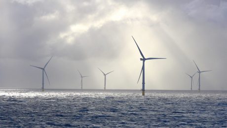 “Akkoord over windmolenparken legt onze zwakte bloot”