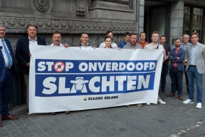 Vlaams Belang drijft druk op aan Brussels Parlement voor verbod op onverdoofd slachten
