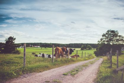 Agribashing tegengaan blijkt geen prioriteit voor Vlaamse regering